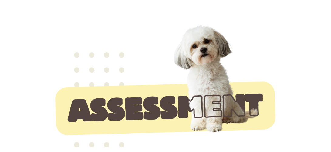 Assessment dog